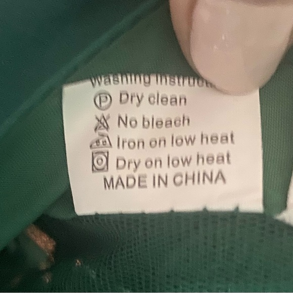 Elegant Green Sheer- Lace & Satin Dress - Picture 12 of 16